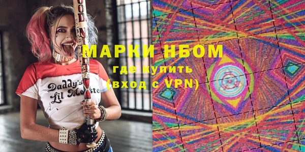 эйфоретик Няндома