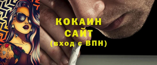 эйфоретик Няндома