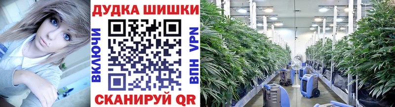 Бошки Шишки AK-47  Купить где  Звенигород 
